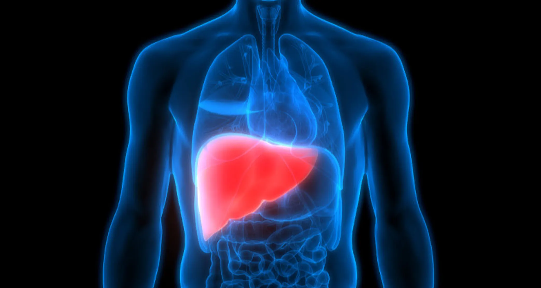 Liver Cirrhosis & Fatty Liver Treatment